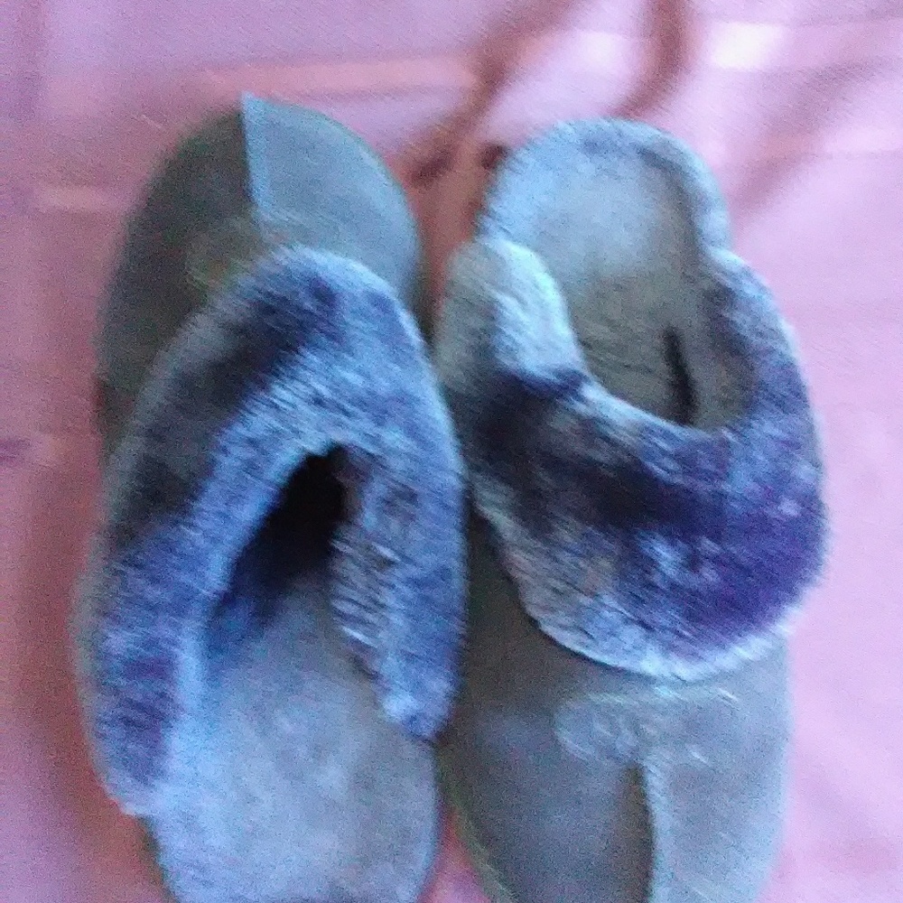 Ugg slip on slippers